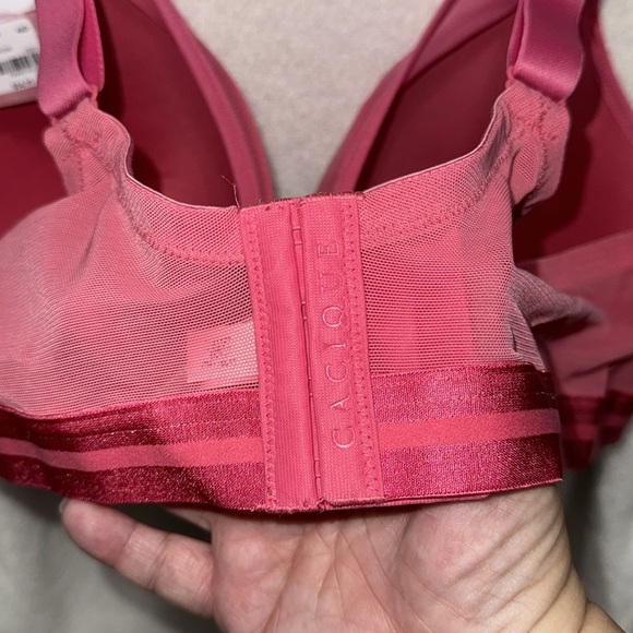 NWT Cacique Boost Plunge bra size 46D - Picture 6 of 7